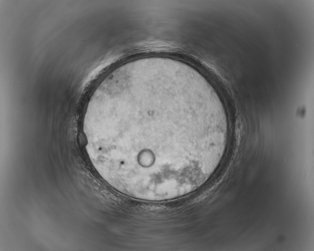 X0000115591309200912011453