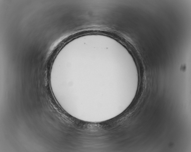 X0000115591310200912011453