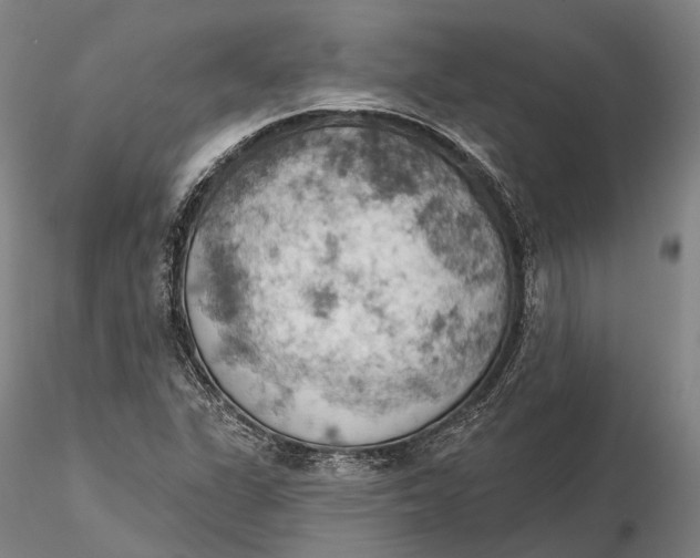 X0000115591311200912011453