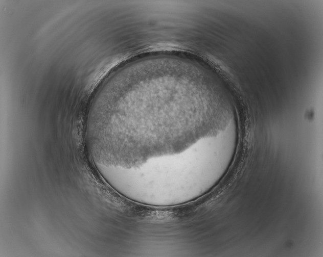 X0000115591313200912011453