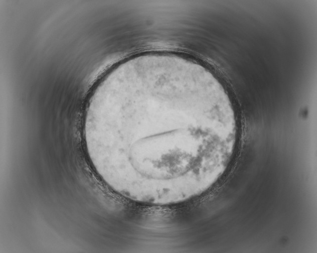 X0000115591314200912011453