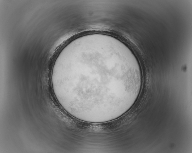 X0000115591315200912011453