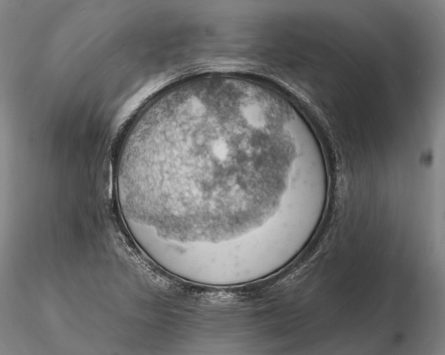X0000115591317200912011453