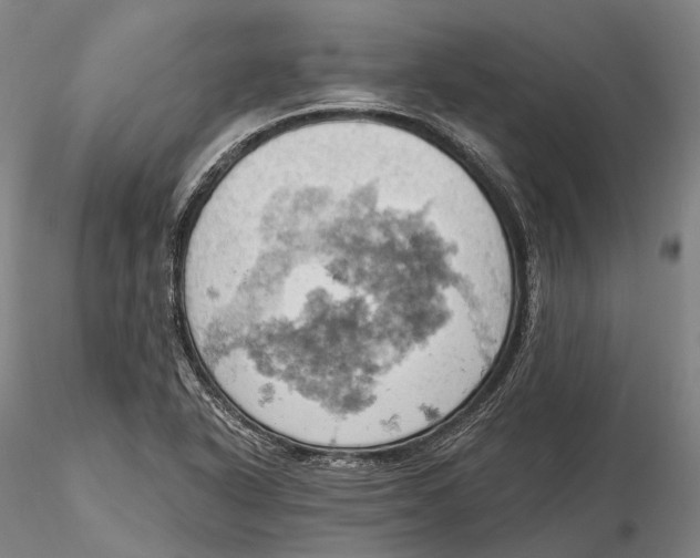 X0000115591318200912011453
