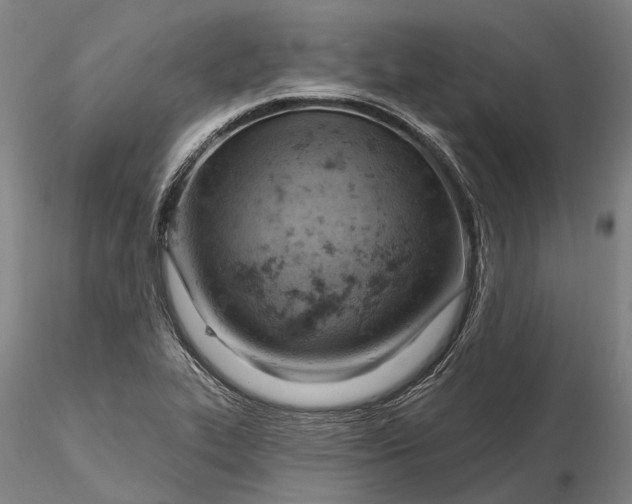 X0000115591319200912011453
