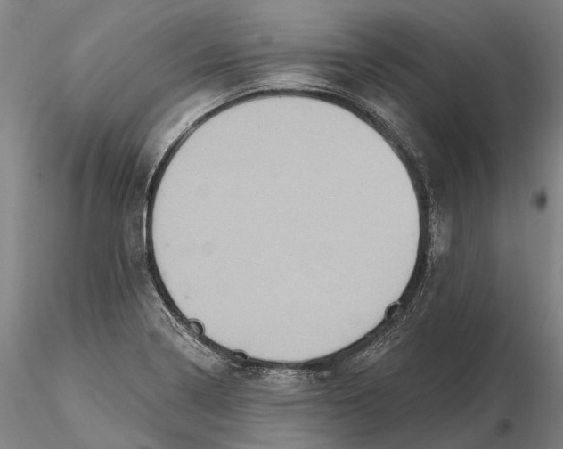 X0000115591322200912011453