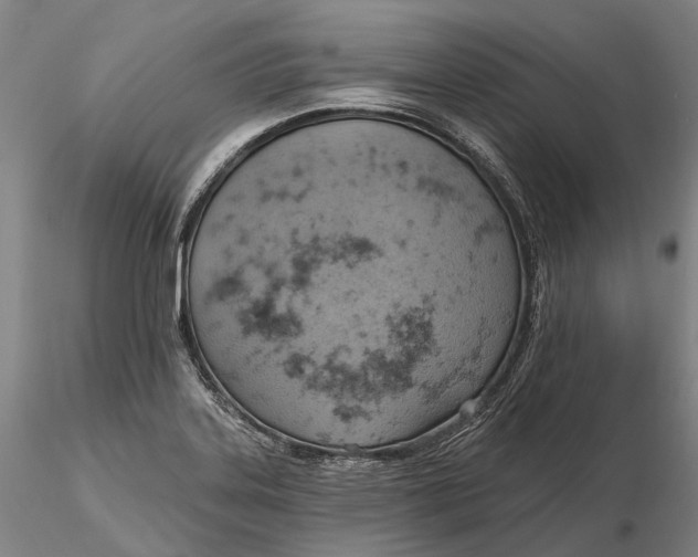 X0000115591323200912011453