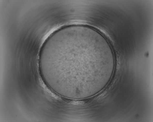 X0000115591325200912011453