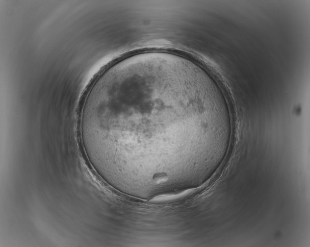 X0000115591326200912011453