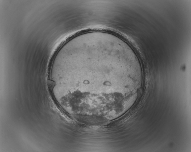 X0000115591327200912011453