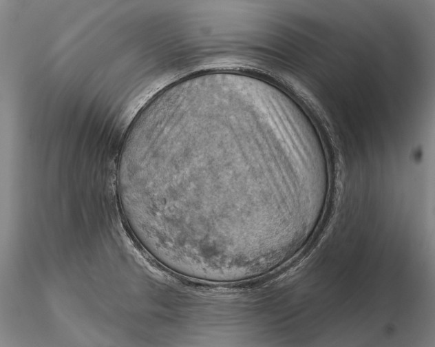 X0000115591329200912011454