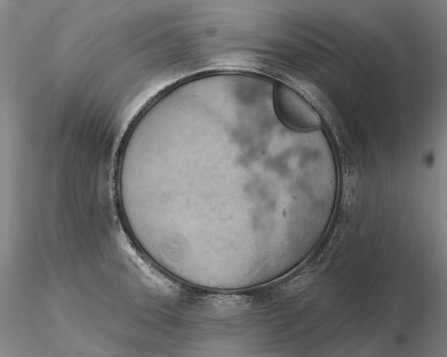 X0000115591331200912011454