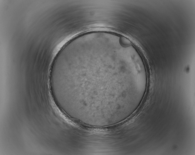 X0000115591333200912011454