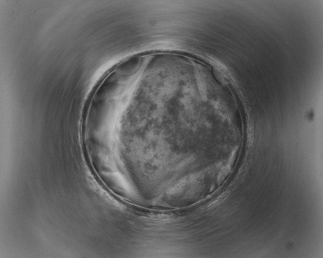 X0000115591334200912011454