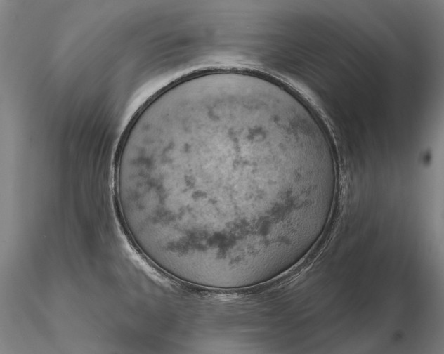 X0000115591335200912011454