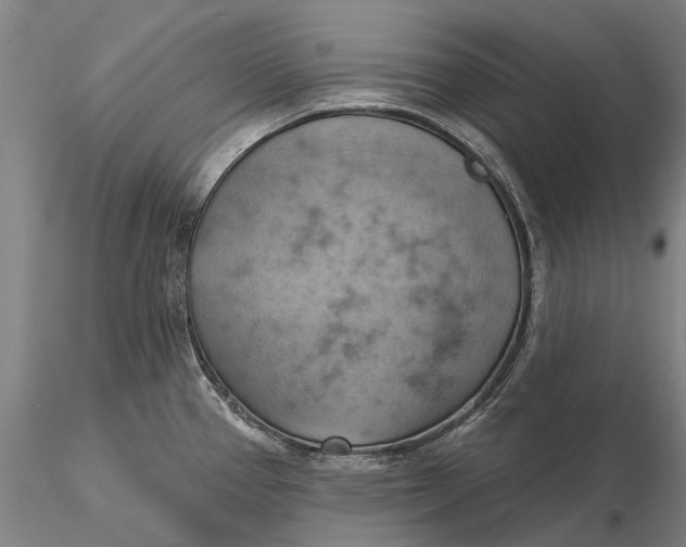 X0000115591337200912011454