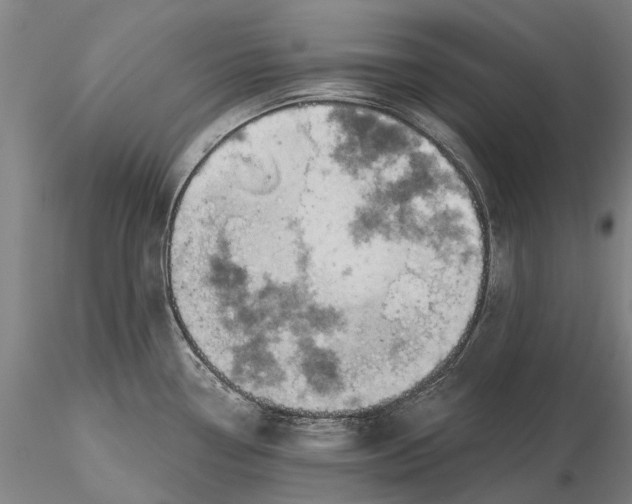 X0000115591338200912011454
