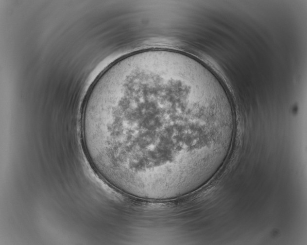 X0000115591339200912011454