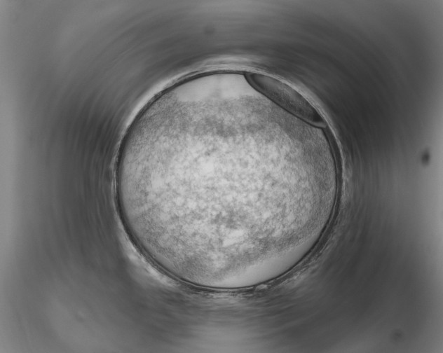 X0000115591341200912011454