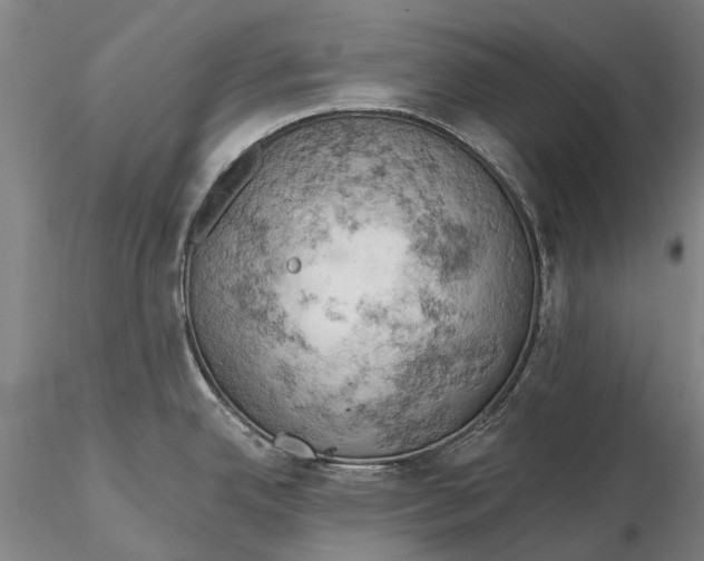 X0000115591342200912011454
