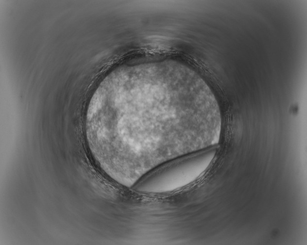 X0000115591345200912011453