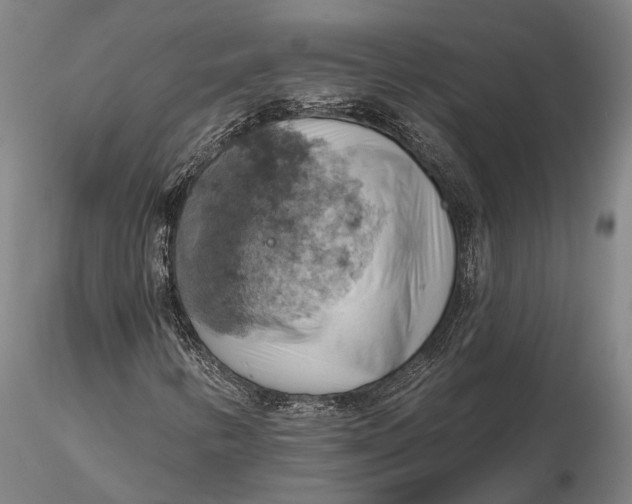 X0000115591346200912011453