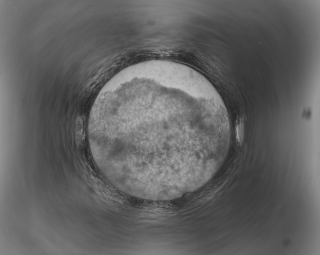 X0000115591347200912011453