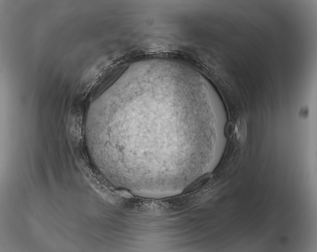 X0000115591348200912011453