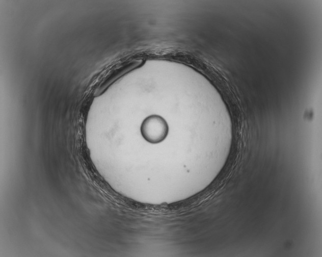 X0000115591349200912011453