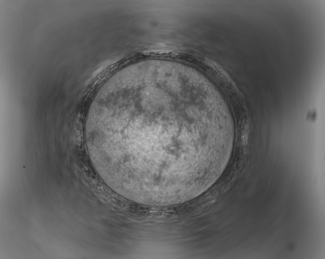 X0000115591350200912011453