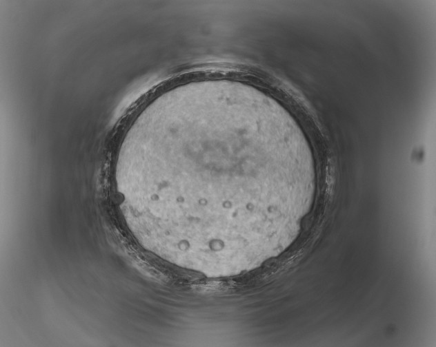 X0000115591352200912011453