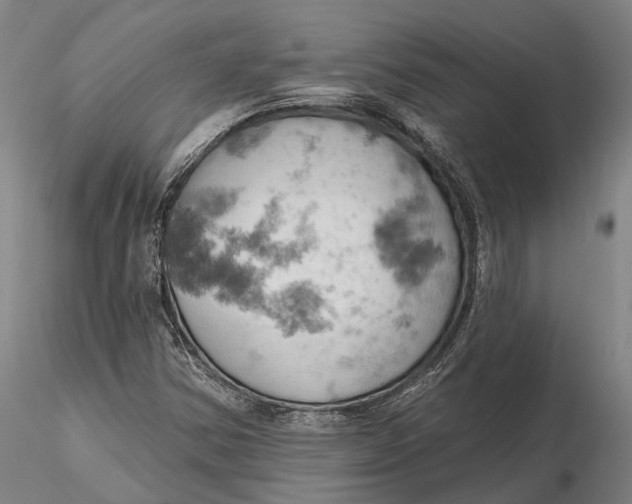 X0000115591354200912011453