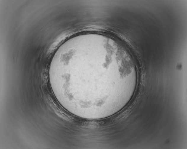 X0000115591355200912011453