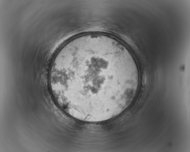 X0000115591356200912011453