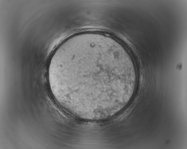 X0000115591357200912011453