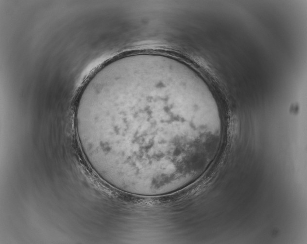 X0000115591358200912011453