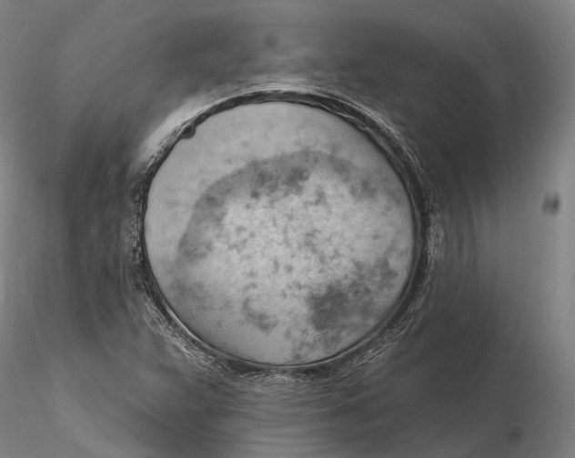 X0000115591359200912011453