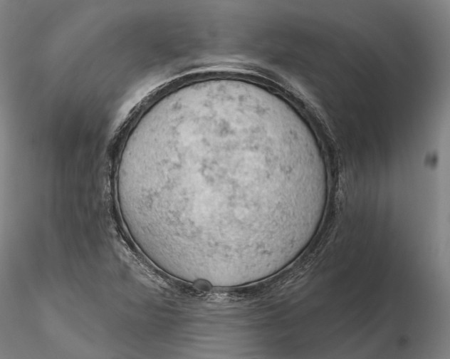 X0000115591360200912011453