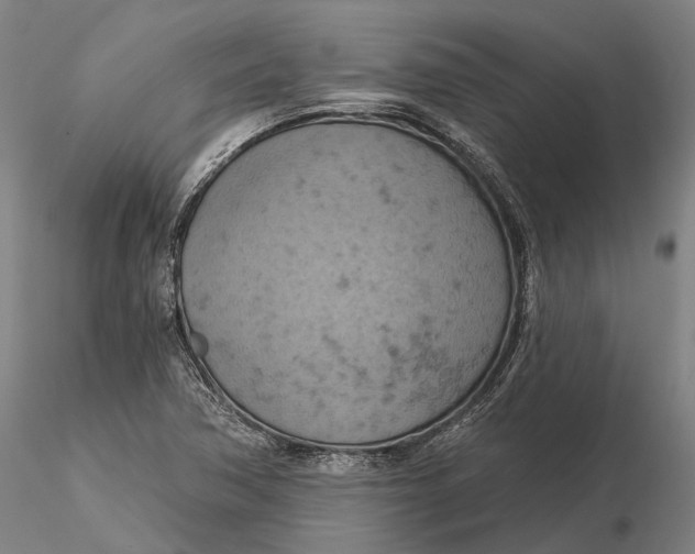 X0000115591362200912011453