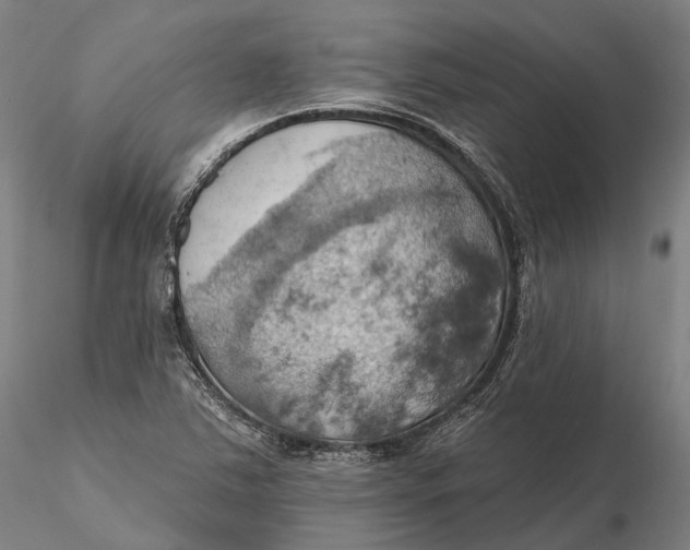 X0000115591363200912011453