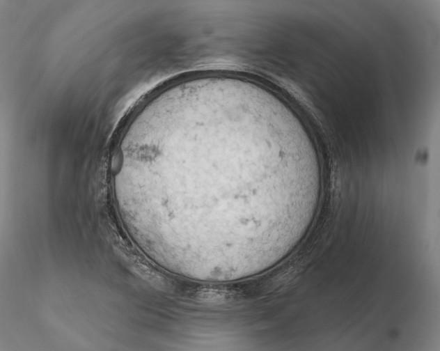 X0000115591364200912011453