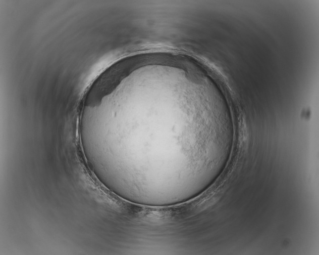 X0000115591365200912011453
