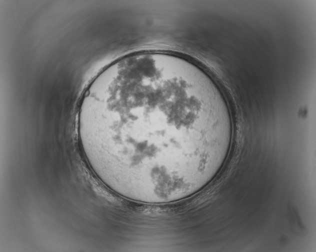 X0000115591366200912011453