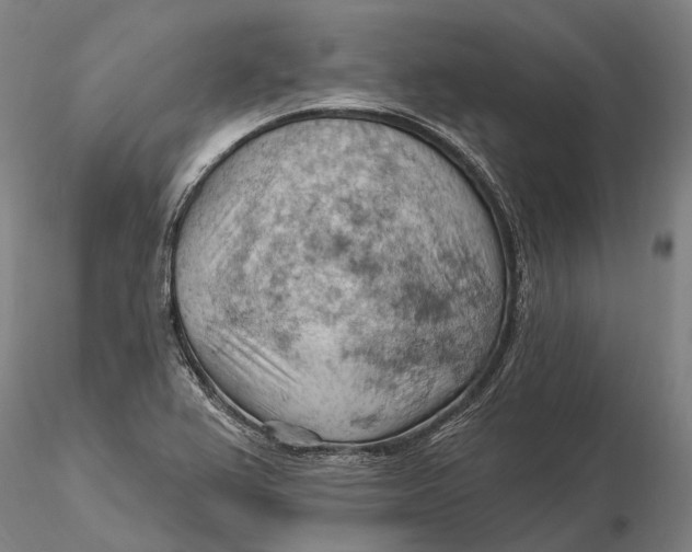 X0000115591367200912011453