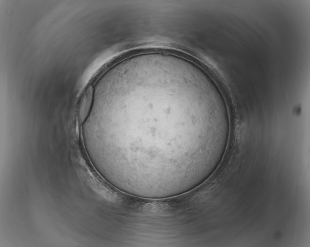 X0000115591368200912011453