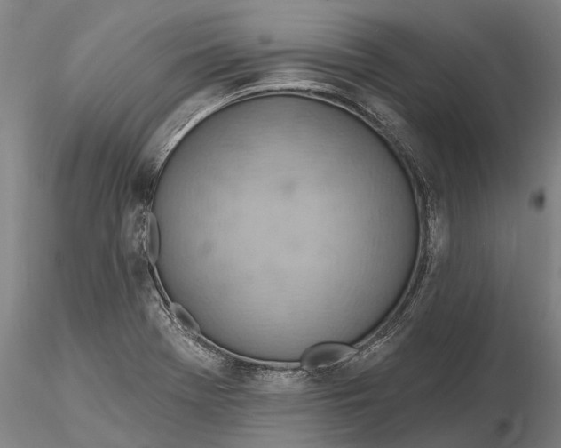 X0000115591369200912011453