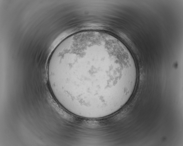 X0000115591370200912011453