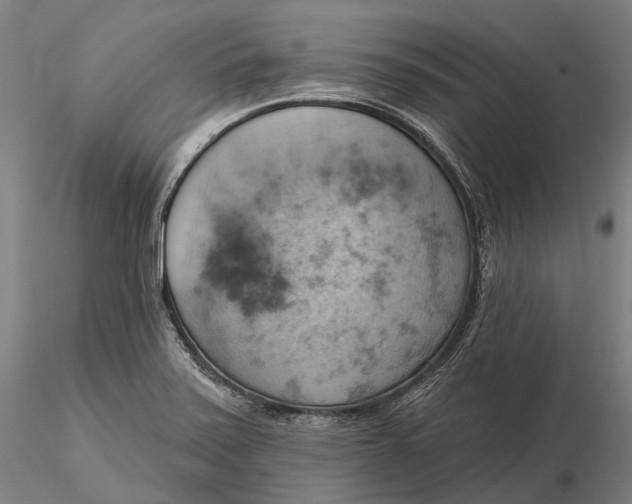 X0000115591371200912011453
