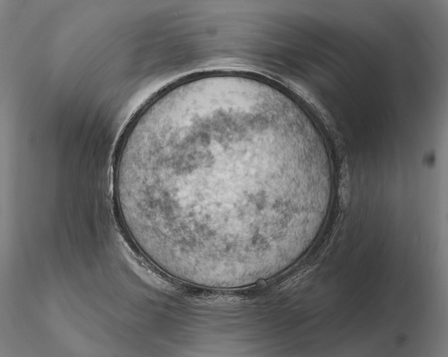 X0000115591372200912011453