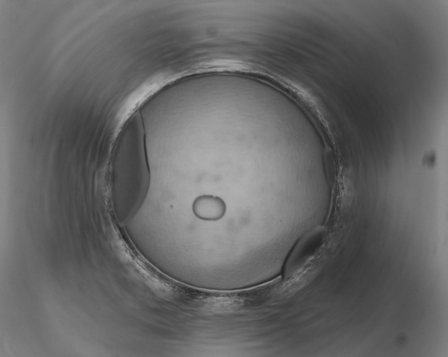 X0000115591373200912011453